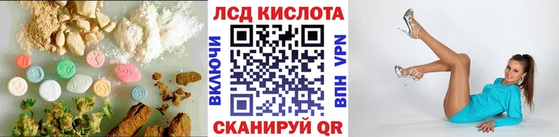 где можно купить наркотик  Наволоки  ЛСД экстази кислота 