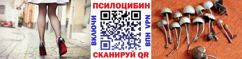 Галлюциногенные грибы ЛСД  Наволоки 