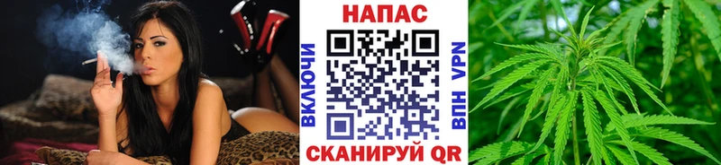Шишки марихуана Amnesia hydra рабочий сайт Наволоки
